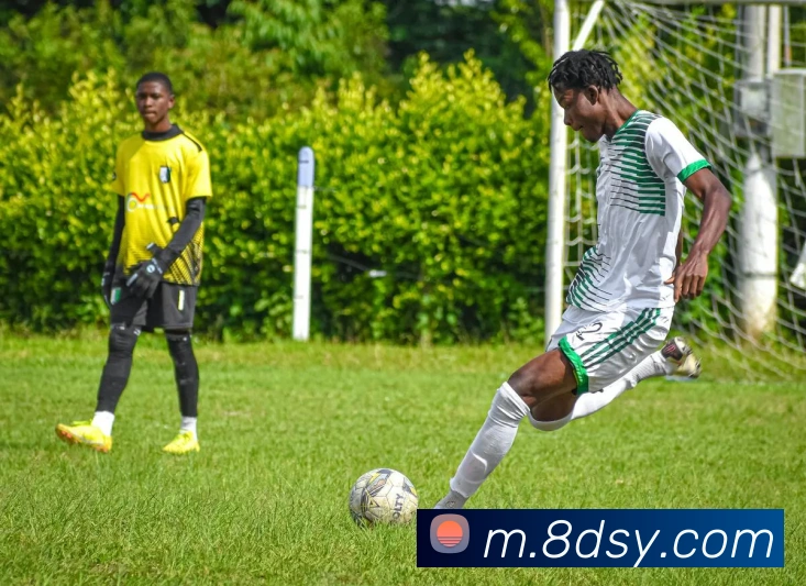 大三元官网平台登录品牌故事